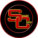 Brisbane Gutter Cleaning